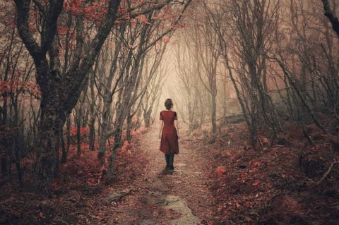 The narrow and untrodden transgender path