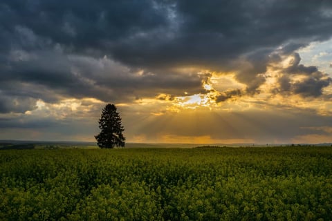 Light and Hope
